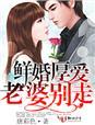老婆别跑全文免费阅读