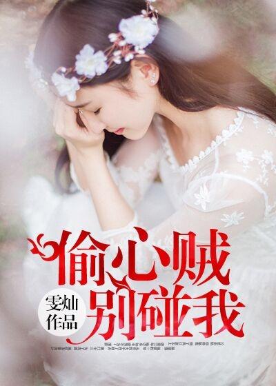 偷心大盗别想逃