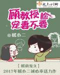 顾少宠不停免费无弹窗