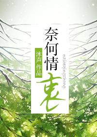 奈何情衷讲什么