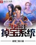 极品寻宝系统