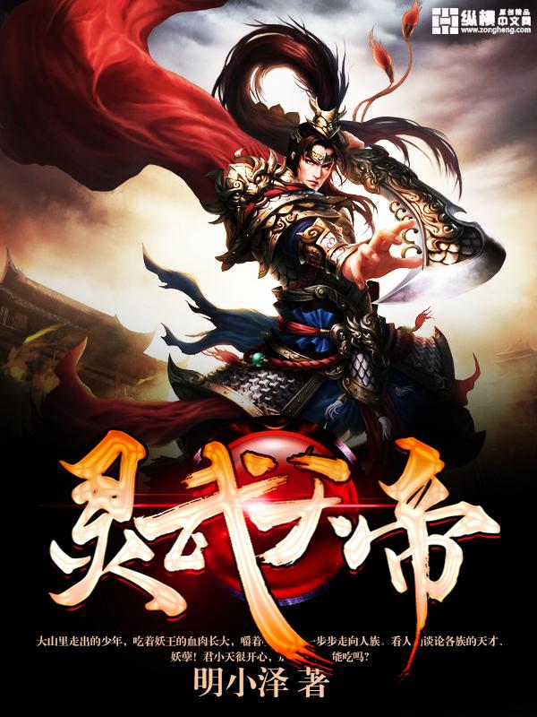 灵武帝尊辰天境界