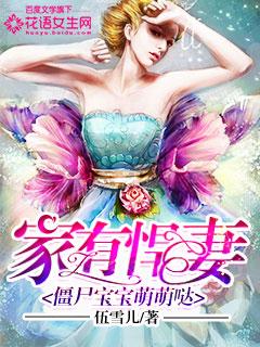 家有悍妻简介