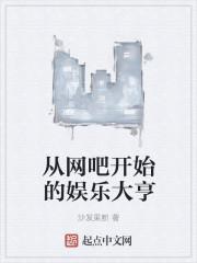 主角开网吧起家的
