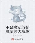不会魔法的魔法师意者