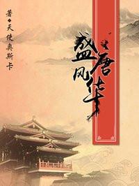 盛唐风华后续