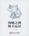 海贼之神级升级系