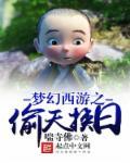 偷天神盗电影