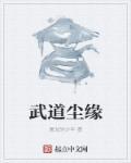 武道至尊叶尘瑶池