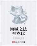 海贼之法则之力
