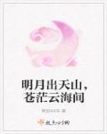 明月出天山苍茫云海间长风几万里吹度玉门关