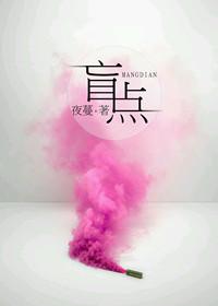盲点结局是什么意思