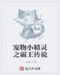 神奇宝贝之精灵霸主
