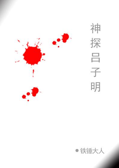 中国神探吕琴案分集介绍