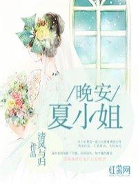 晚安小姐姐在线阅读