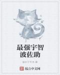火影宇智波佐助主攻