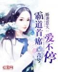总裁别惹我阅读全文