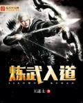 炼武境界