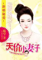 新婚甜妻宠上瘾