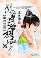 魔君驾到逆天狂妃狠倾城