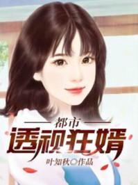 都市透视狂婿TXT免费全本