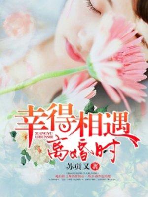 幸得相遇离婚时(1)