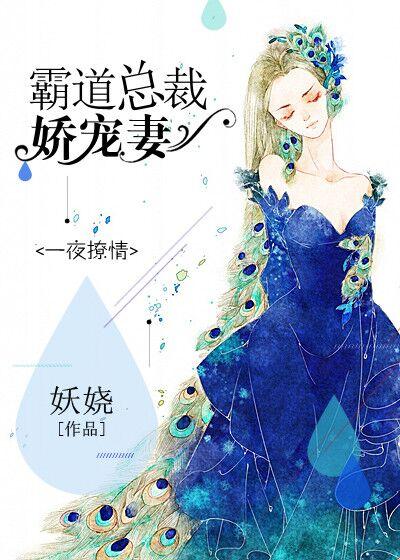 一夜锁情霸道总裁请温柔