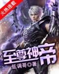 至尊神帝的境界