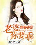 帝国为聘 老婆你要乖 全本免费阅读