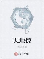 星辰变 天地惊