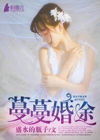 蔓蔓婚路简介