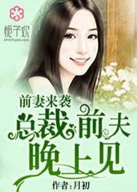 总裁来袭前妻你别跑