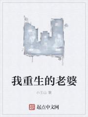 我的重生老婆们