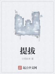干部优缺点