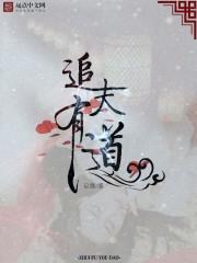 追夫文