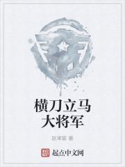 横刀立马大将军是什么数字