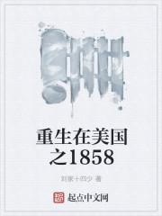 重生之在美国当地主