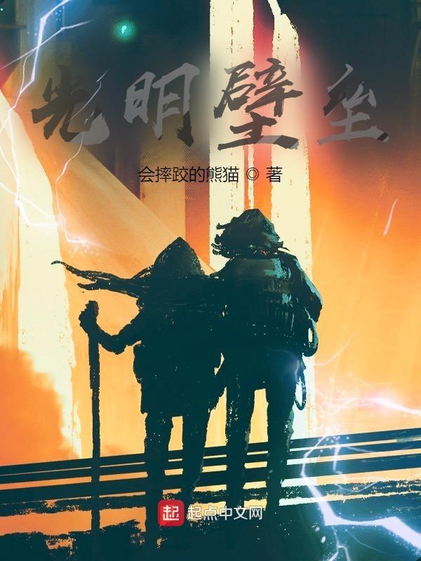 光明壁垒书评
