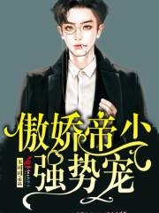 傲娇帝少轻轻宠全文免费阅读目录