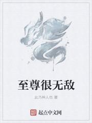 电影至尊无敌