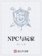 npc玩家流