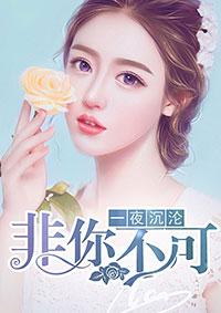 一夜沉婚txt