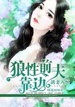 狼性前夫要追妻