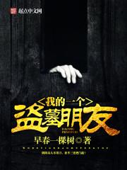 盗墓我的盗墓生涯