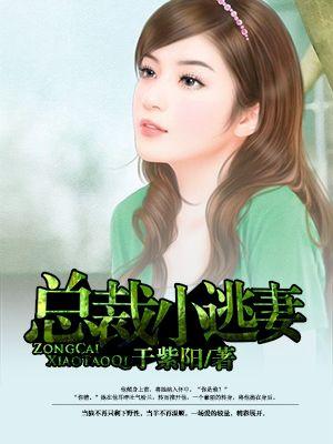 总裁的小逃妻