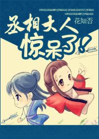 丞相大人的