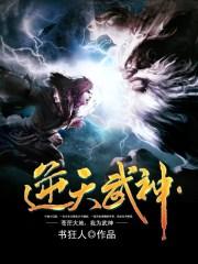 逆天武神新笔趣阁