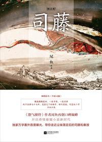 司藤里的沈银灯真实身份