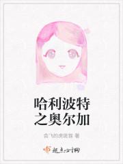哈利波特之大奥术师卡夜阁