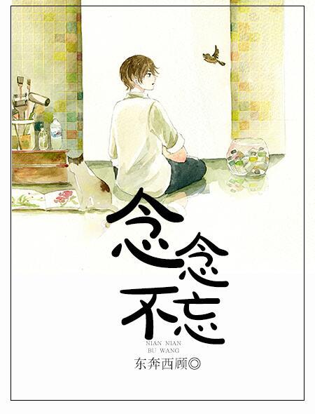 念念不忘短剧免费观看全集